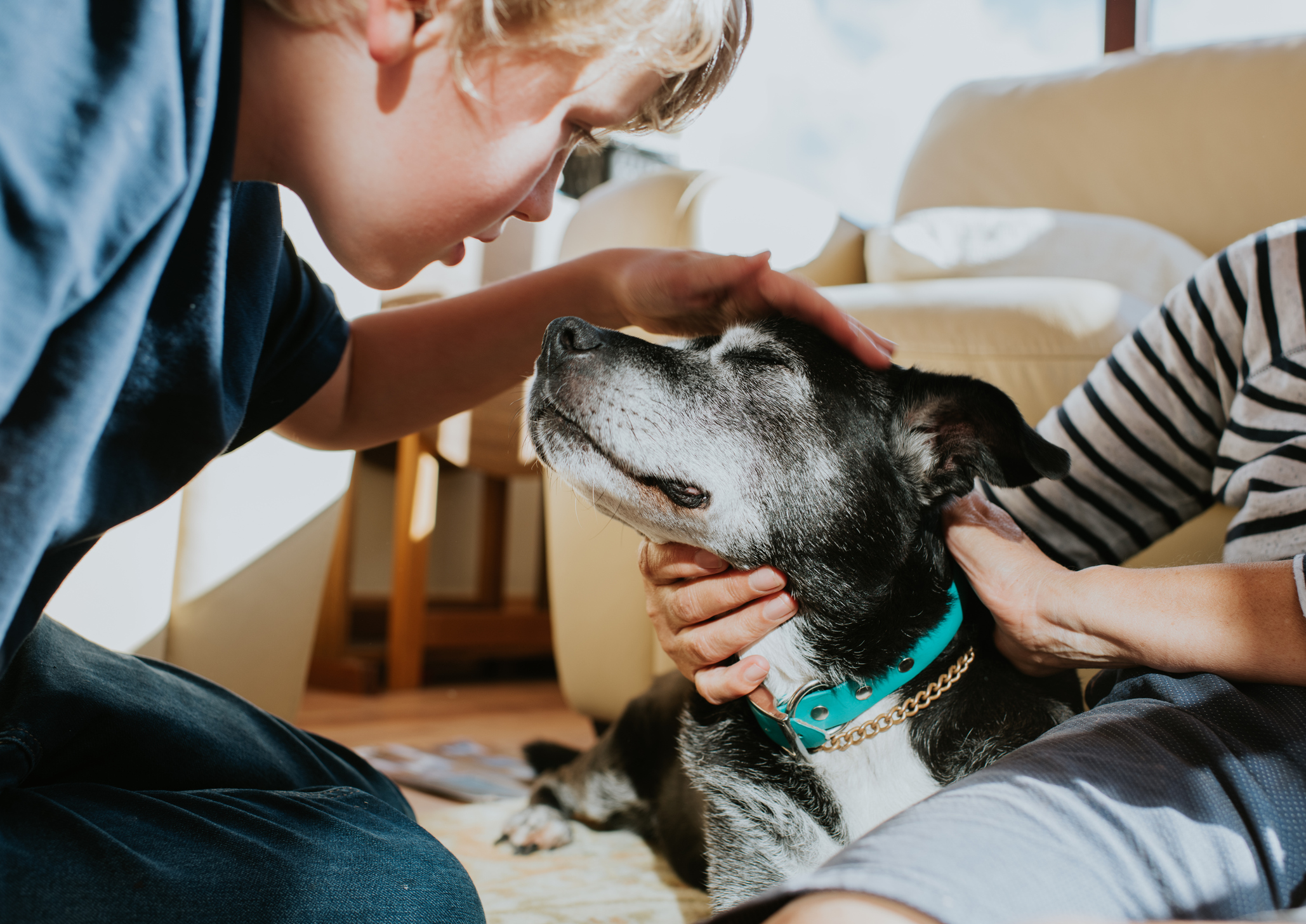 The Remarkable Benefits of Animal-Assisted Therapy - Counseling ...